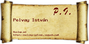 Pelvay István névjegykártya
